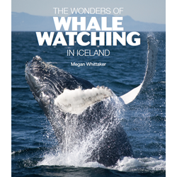 Mynd af The Wonders of Whale Watching in Iceland
